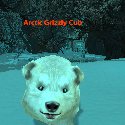 Arctic Grizzly Cub