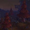 Azshara Rain