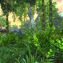 Bamboo