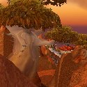 Behind the Orgrimmar gate