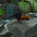 Bird on Owen's Wishing Well