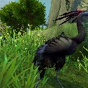 Black crane