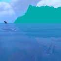 Blackfins