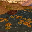 Boat at the edge of a pond