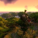 Crashed zeppelin spiked on a tree