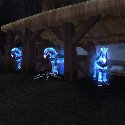 Cursed Stallions