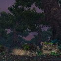 Dark sinister forest