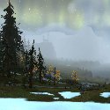 Edge of the forest