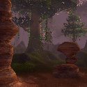 Entering Feralas from Thousand Needles