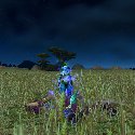 Female Troll killed a Raptor