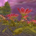 Flower at a BioDome in Netherstorm