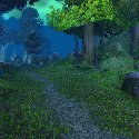 Forest Path
