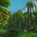 Fox Grove