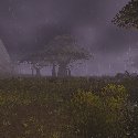 Gnolls in the rain