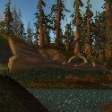 Hollow tree bridge