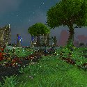 Hozen battlefield at The Wayward Landing