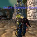 Knight-Lieutenant Reener
