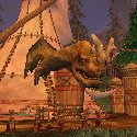 Kodo skin used on a Tauren tent