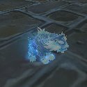 Litter of Xuen