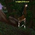 Longneck Grazer