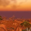 Looking out over Durotar