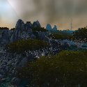 Looking out over the trees
