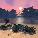 Mists of Pandaria -- Fishing Hozen on Coastal Islands in Krasarang