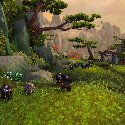 Mists of Pandaria -- Pandaren Hunter with Turtle Pet Wandering Isle