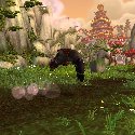 Mists of Pandaria -- Pandaren Monk Roll
