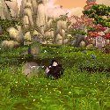 Mists of Pandaria -- Pandaren Monk Rolling