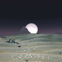 Moon in Tanaris