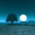 Moon set over a graveyard