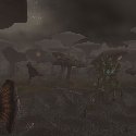 Mushrooms at the edge of The Deadmire