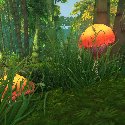 Mushrooms hidden in the grass