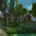 Nectarbreeze Orchard in the distance