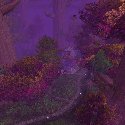 Night Elf building in a forest