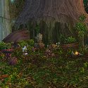 Night Elf camp