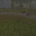 Pink Elekks at The Stormwind gate