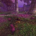 Pink Elekks on The Warrior's Terrace