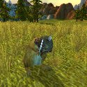 Prairie dog soldier