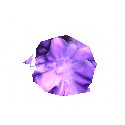 Purple thingie