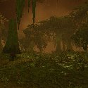 Rain in the swamp