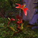 Red Flower