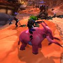 Riding a Pink Elekk