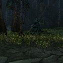Small tree among big trees