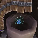 Spider in a Cannon