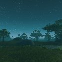 Stars over the Wetlands