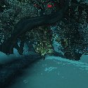 Storm Giant