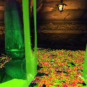Suddenly: Flowers!