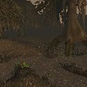 Swamp road through a tree